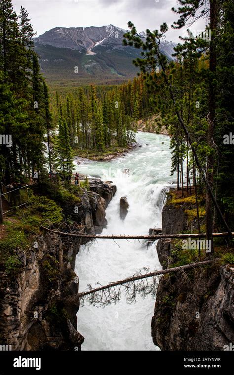 Sunwapta Falls Jasper National Park Alberta Canada Stock Photo Alamy