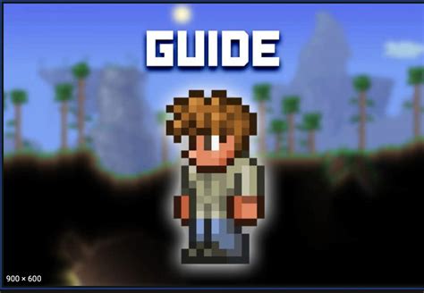 Terraria Guide Your First Npc Guide Of The Game Important News