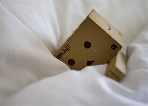 27092012 Dont Cry Danbo Jlhopgood Flickr