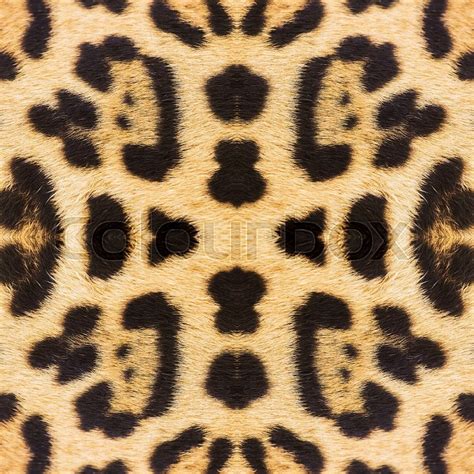 Leopard Skin Texture For Background Stock Image Colourbox