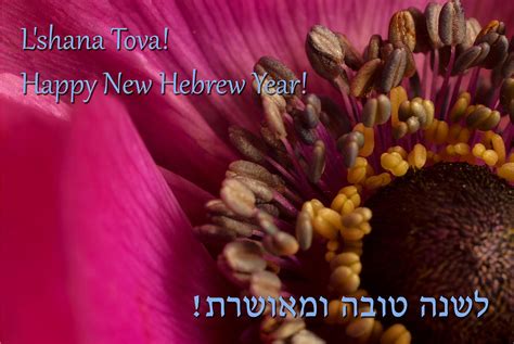 Hebrew New Year Greeting Card Photograph By Meir Jacob Pixels