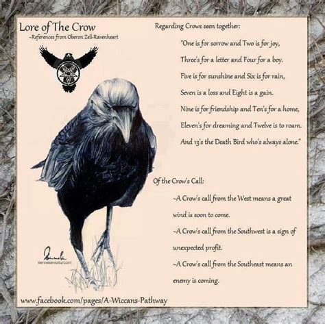 Pin By Tim Mason On Witchy Animal Spirit Guides Crow Animal Totems