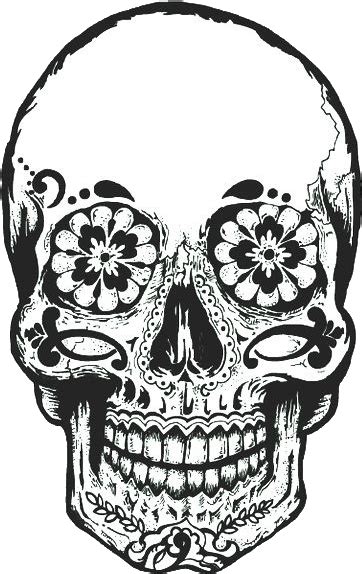 Download Skull Calavera Cap Dead Day Of The Clipart Sugar Skull