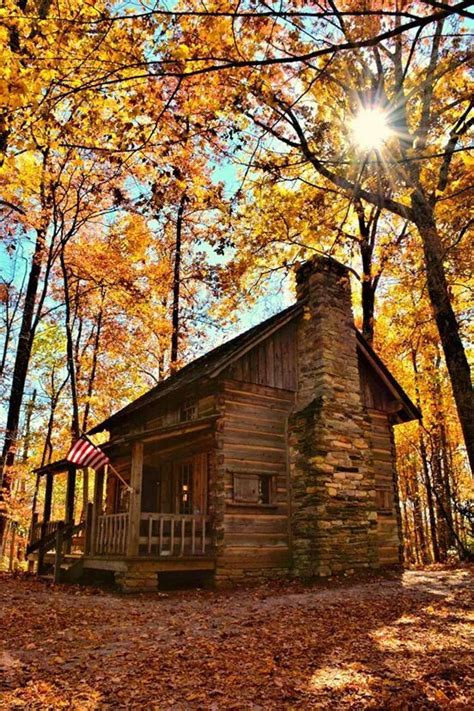 Pretty Little Cabin In The Woods Surrounded By Autumn Colour Simple