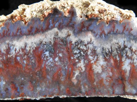 Forest Fire Plume Agate