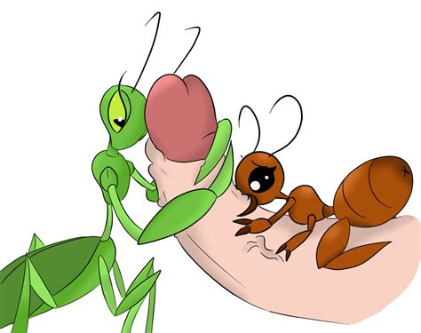Rule 34 Ant Antennae Arthropod Erection Female Femdom Group Group Sex