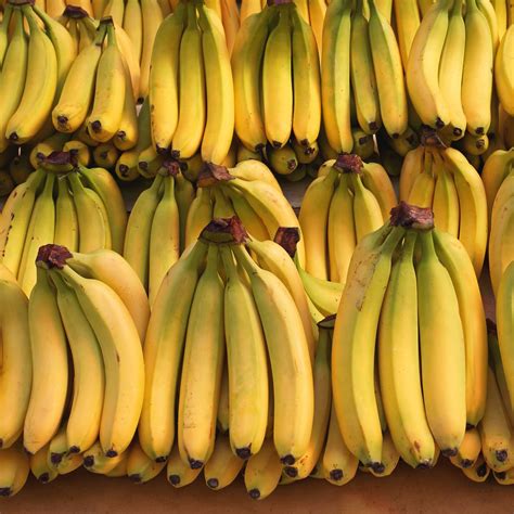 Banana A Most Unusual Ordinary Fruit John W Wenzel