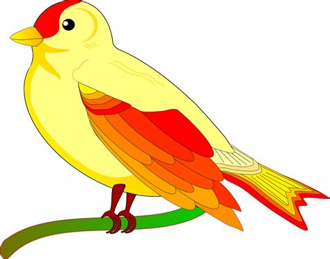 Download Parrot Bird Exotic Royalty Free Vector Graphic Pixabay