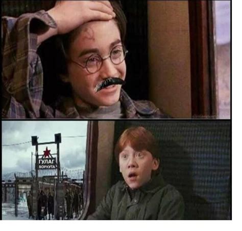 You See Comrade Even Stalin Is Disguised As Harry Potter Youseecomrade