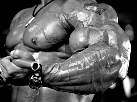 Arm Stretches for Arm Muscles - Bodybuilding Arms Workouts