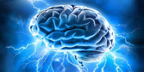 Doctors Remove World's Largest Brain Tumor In Nayar ...