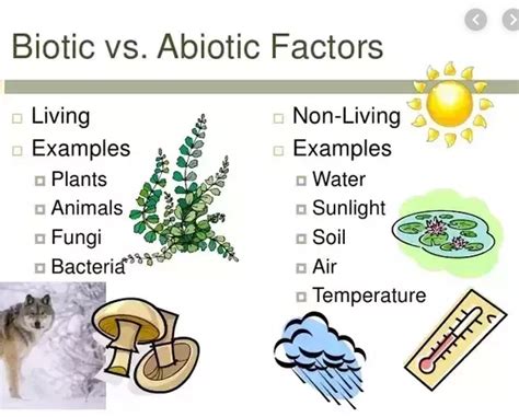 A limiting factor is a factor that restricts the size of a population from reaching its full potential. What is the difference between biotic and abiotic factors ...