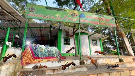 Bhiwandi Ki Ek Aisi Karamati Dargah Jahan Aaj Bhi Hoti Hai Zinda