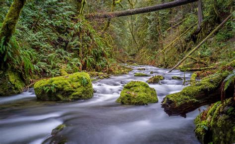 Free Images Landscape Tree Nature Waterfall Creek Wilderness
