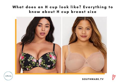 What Does An H Cup Look Like Everything To Know About H Cup Breast