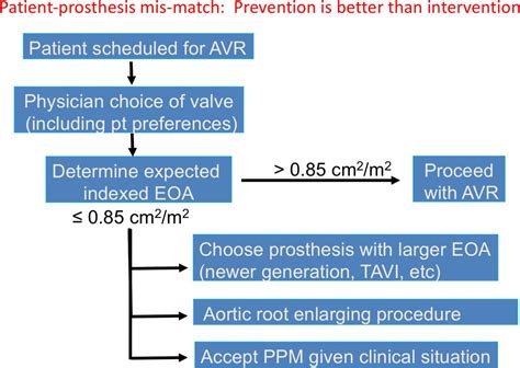 Patient Prosthesis Mismatch Following Aortic Valve Replacement Heart