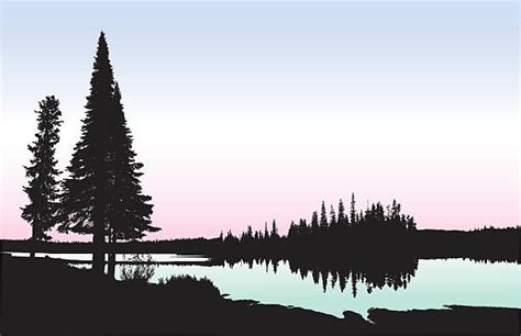2900 Pine Trees Lake Illustrations Royalty Free Vector Graphics