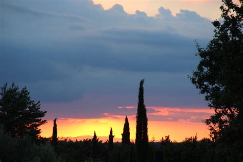 Sunset Provence Through The Cypres Trees Paint Provence With Tess