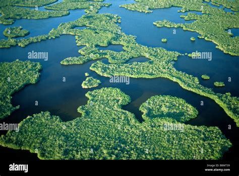Aerial View Of Everglades National Park And The Ten Thousand Islands