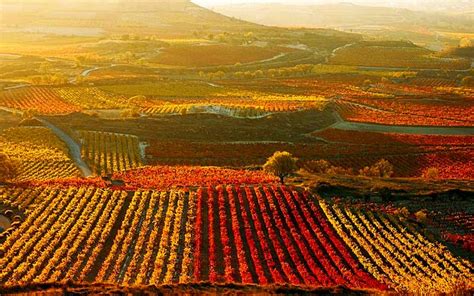 Ruta Del Vino Por La Rioja Alavesa España Fascinante