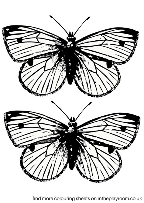 Have fun with these awesome printable coloring pages of butterflies! Free Printable Butterfly Colouring Pages - In The Playroom