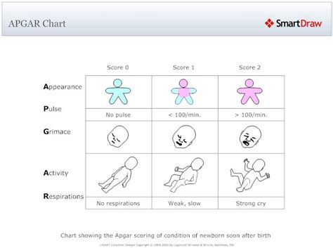Helpful Apgar Chart From Erin Chart Nclex Ob Nursing