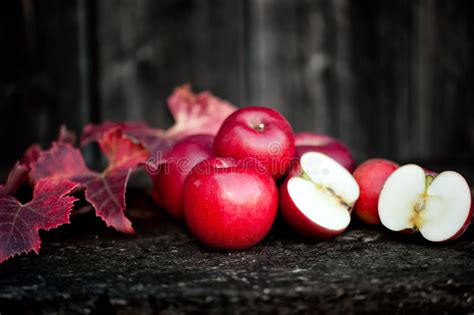 As Maçãs Vermelhas Orgânicas Do Outono Colhem No Tema Da Agricultura Foto de Stock Imagem de