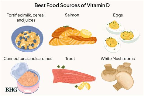 7 Foods High In Vitamin D To Add To Your Diet
