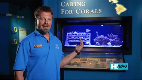 How Maui Ocean Center Is Protecting Hawaiis Coral Reefs Maui Ocean