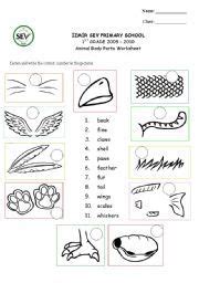 Unlike humans, animals may have different body parts such as a tail not only will learning the names of animal body parts give you a larger english vocabulary but it will also help you in sounding more like a native speaker. animals parts worksheets - Buscar con Google | Animales en ...