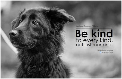 Animals and plants etc will volunteer to come there with us. Quotes about Being kind to animals (27 quotes)