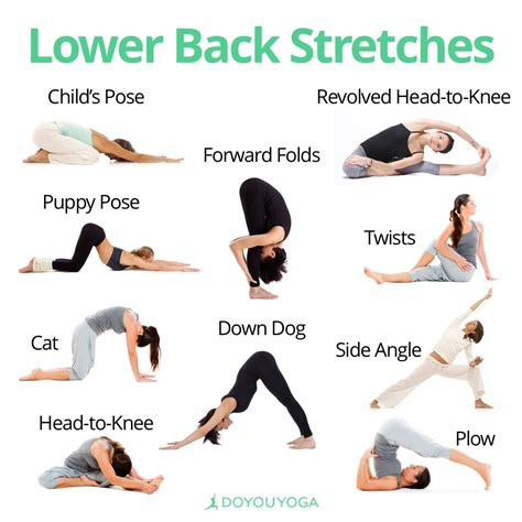 Lower Back Yoga Stretches Workout Programs Easy Yoga Workouts Exercise