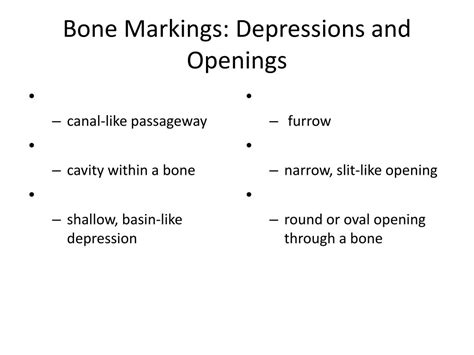 Ppt Function Of Bones Powerpoint Presentation Free Download Id1872371
