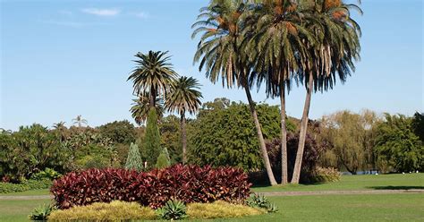 Centennial Park In Sydney Australia Sygic Travel