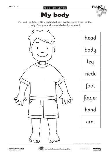 Check spelling or type a new query. My body - FREE Early Years teaching resource - Scholastic ...