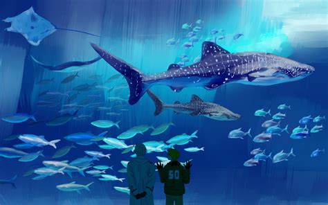 Hình ảnh Con Cá Xinh đẹp Và đa Dạng Của Thế Giới Thủy Cung