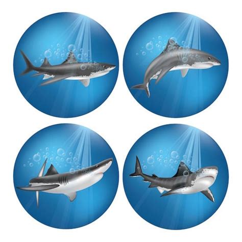 Shark Word Find Puzzle Perfect For Shark Week Jinxy Kids