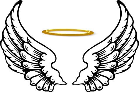 Vector Angel Wings Transparent Background Png Mart