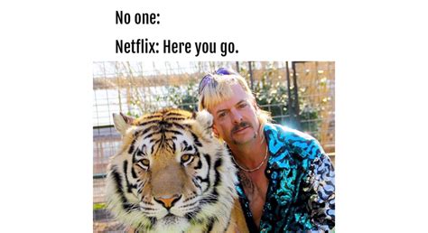 Tiger King Memes Stayhipp
