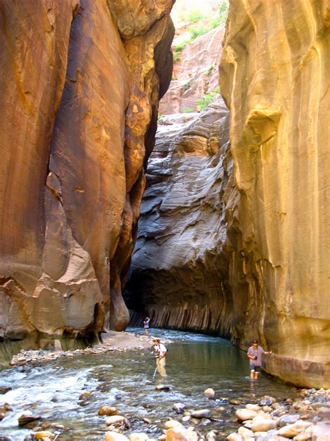Hiking The Narrows In Zion National Park Utah Was One Of My Favorite