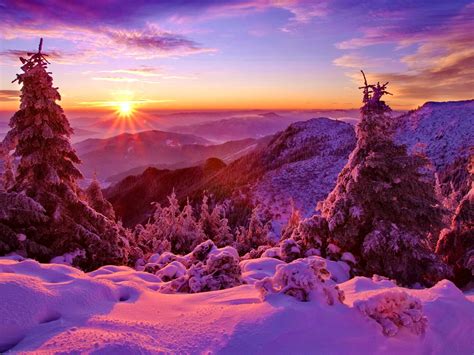 Free Download Winter Sky Sunset Mountains Forest Trees Spruce Snow