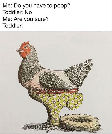 You don't act like all the other chickens do. A little parent humour this evening : funny
