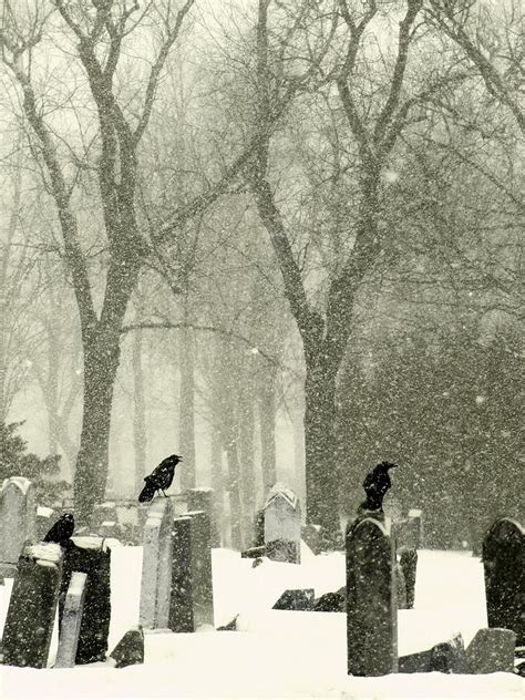 Snowy Graveyard Crows Photograph By Gothicrow Images Pixels