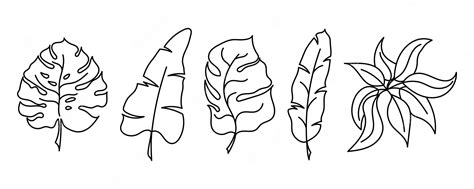 Premium Vector Set Of Hand Drawn Tropical Leaves Vector Pattern In