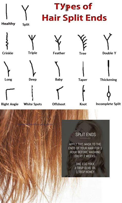 Curly hair & cu's board hair growth tips, followed by 9190 people on pinterest. Ways To Get Rid Of Split Ends | Split hair, Grow hair ...
