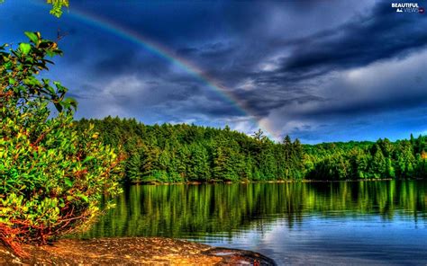 Forest Great Rainbows Lake Beautiful Views Wallpapers 1680x1050