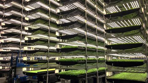 Switzerland To Launch Its First Robotic Vertical Farm In 2020 Aboutmans