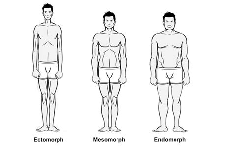 Whats Your Body Type Ectomorph Mesomorph Or Endomorph The Health