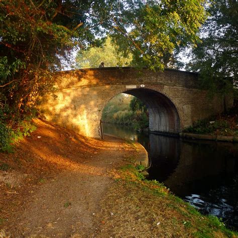 Wolverhampton wanderers football club, commonly known as wolves, is a professional association football club based in the city of wolverhamp. Sunlit Morn. . . explored | Wolverhampton, England ...