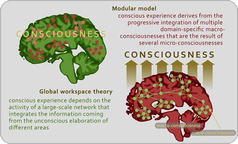 Frontiers The Neural Correlates Of Consciousness And Attention Two